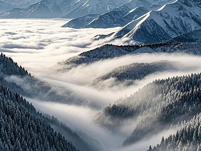 现代风景 冬天 森林 雪景 云海 山