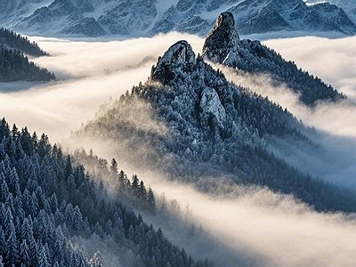 现代风景 山 雪景 森林 冬天 云海