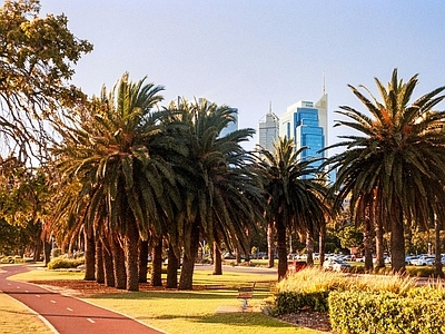 现代城市外景 白天城市外景