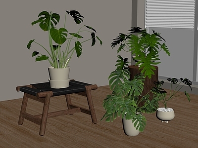 盆栽 绿植盆栽 盆景 植物组合