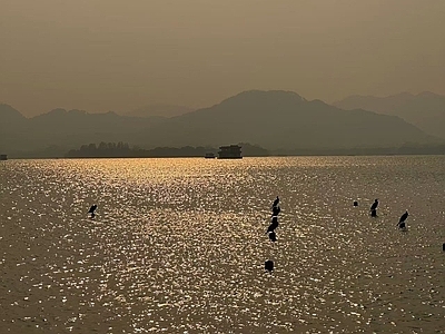 现代风景 湖面 湖面飞鸟