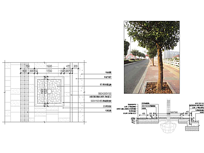 现代乡村景观 道路树池 施工图