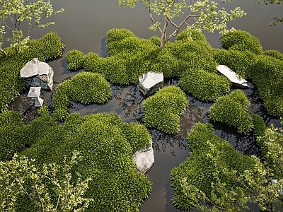 现代其他小品 微地形 景观微地形