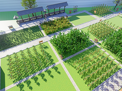 现代新中式乡村公园 标准农田 研学基地 农作物基地 菜地