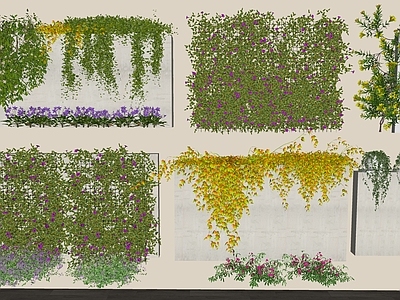 藤蔓 花墙藤蔓 廊架藤蔓 藤蔓爬墙 藤蔓月季 藤蔓蔷薇