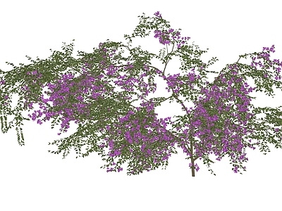 藤蔓 花架藤蔓 花墙藤蔓