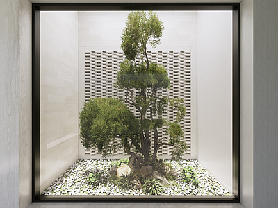 植物组合 现代室内景观造景 庭院小品 庭院景观 树池植物组合