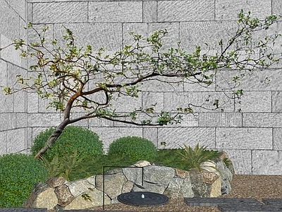 灌木 造型杂木 杂木小景