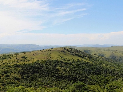 现代其它外景 山顶外景