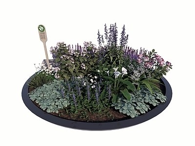 花草 花境 花坛花草 盆栽花草 苔藓 花箱花草