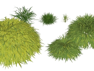 花草 花境 花坛花草 草 知风草