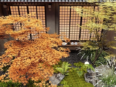 新中式庭院 中庭景观 植物造景 红枫树 花草 民宿庭院