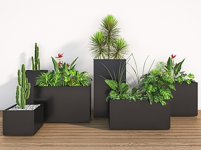 植物组合 植物花箱组合 外摆花箱 定制花箱 花池 花草植物堆