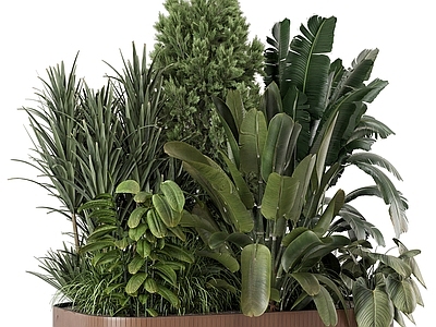 植物堆 庭院绿植 植物堆