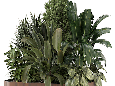 植物堆 庭院绿植 植物堆