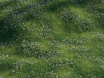 草