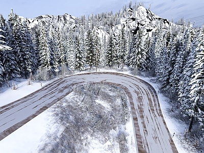 现代乡村公园 雪景 乡村马路