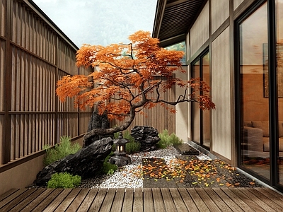 日式禅意庭院 民宿庭院 红枫造型树 石板 景观石 植物景观