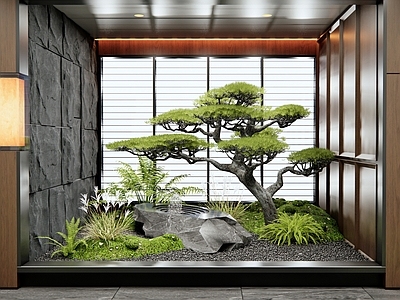 现代新中式室内景观 天井景观 端景 植物景观 花草 松树