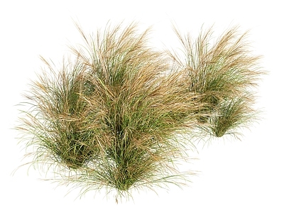 植物组合 草堆草垛 盆栽组合 树池植物组合