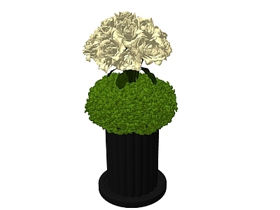现代花艺 陶瓷花瓶 插花