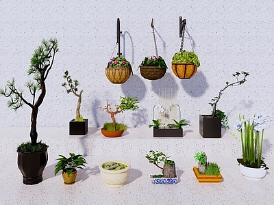 盆栽 中式盆栽绿植 吊挂植物 绿萝