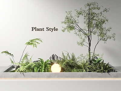 植物组合 蕨类植物 景观植物造景 花池 微景观 景观小品
