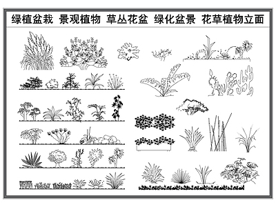 现代综合植物图库 绿植盆栽 景观植物 草丛花卉 绿化盆景 花草植物立面图 施工图