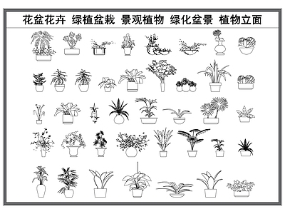 现代花 花盆花卉 绿植盆栽 景观植物 绿化盆景 植物立面图 施工图