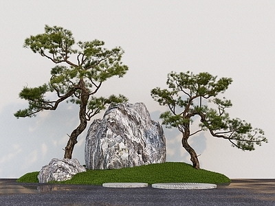 景观树 山松 景观石头 松树 造型树