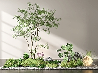 植物堆 植物堆 绿植 植物造景 室内造景 盆栽