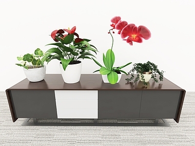 花草 花艺摆件