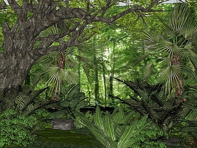 植物组合 森林小景观 热带雨林 乔木 绿植 植物组合