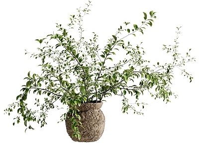 现代花艺 现代花瓶花艺 陶罐花瓶花艺