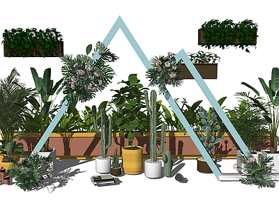 盆栽 绿植组合 仙人掌盆栽 植物组合 盆栽外摆 室内植物组合