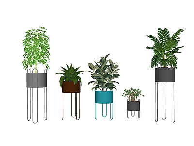 盆栽 盆栽组合 绿植盆栽 家具室内植物组合 室内植物摆件 植物摆件