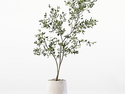 现代欧式花钵 花钵