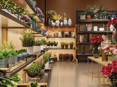 现代花店 现代花店鲜花花艺 花瓶 植物 多肉植物