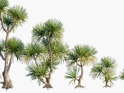现代办公桌 花草 树木 灌木