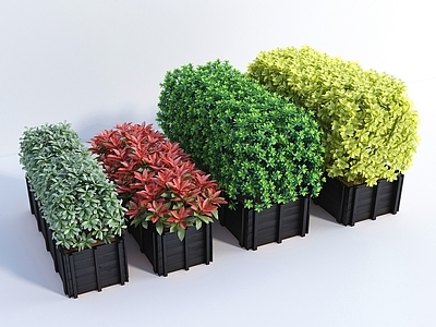 现代灌木 现代风格灌木 绿植 植物