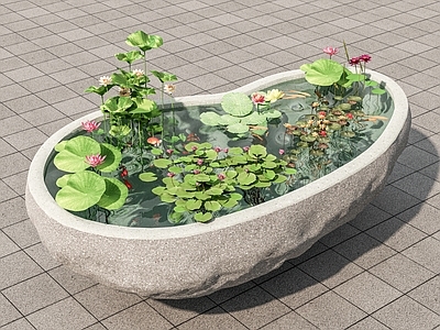 花草 花草 池 水生 小品 庭院端景 花盆花钵