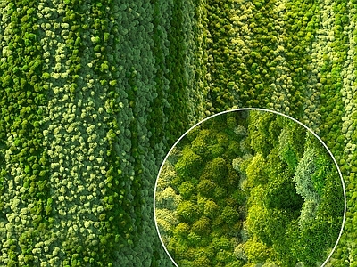 现代直播间 现代植物墙 绿植墙 苔藓