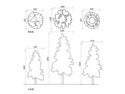 现代综合植物图库 松木 树松 青松 松柏 寒松 施工图