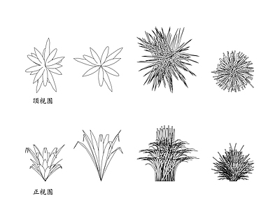 现代植物配置图库 观赏植物 装饰草 美化草 景观草 园艺草 施工图