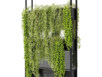 现代直播间 现代植物架