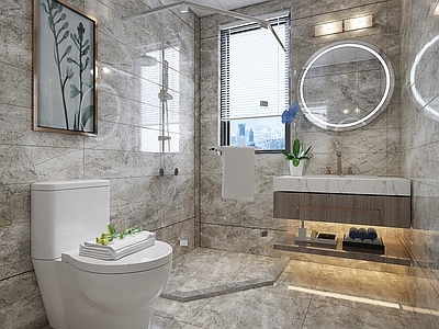 现代卫生间 现代风格卫生间 干湿分离 马桶