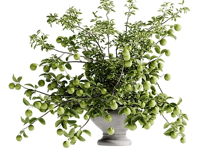 现代花艺 现代花瓶花艺 陶罐花瓶花艺 水果花艺