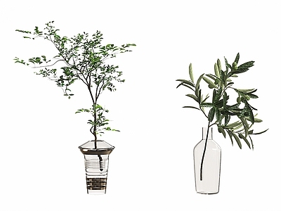 现代直播间 现代植物花瓶摆件 现代植物树枝装饰摆件 现代植物盆栽摆件