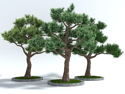 现代办公桌 现代风格景观树 松鼠 迎客松