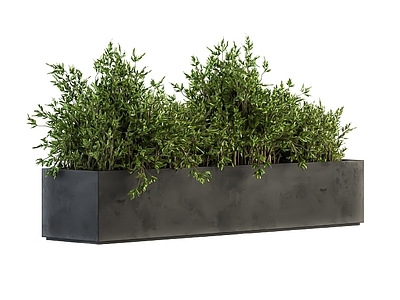 植物组合 树池植物组合 绿植堆 植物堆 花箱 户外绿植盆栽